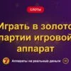 Обложка обзора «Играть в золото партии игровой аппарат», раздел «Другие слоты»