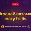 Обложка обзора «Игровой автомат crazy fruits», раздел «Другие слоты»