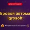 Обложка обзора «Игровой автомат igrosoft», раздел «Слоты Игрософт»