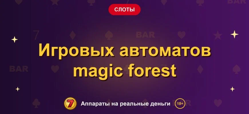 Обложка обзора «Игровых автоматов magic forest», раздел «Другие слоты»
