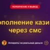 Обложка обзора «Пополнение казино через смс», раздел «Пополнение и вывод денег»