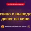 Обложка обзора «Казино с выводом денег на киви», раздел «Пополнение и вывод денег»