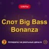 Обложка обзора «Слот Big Bass Bonanza», раздел «Другие слоты»