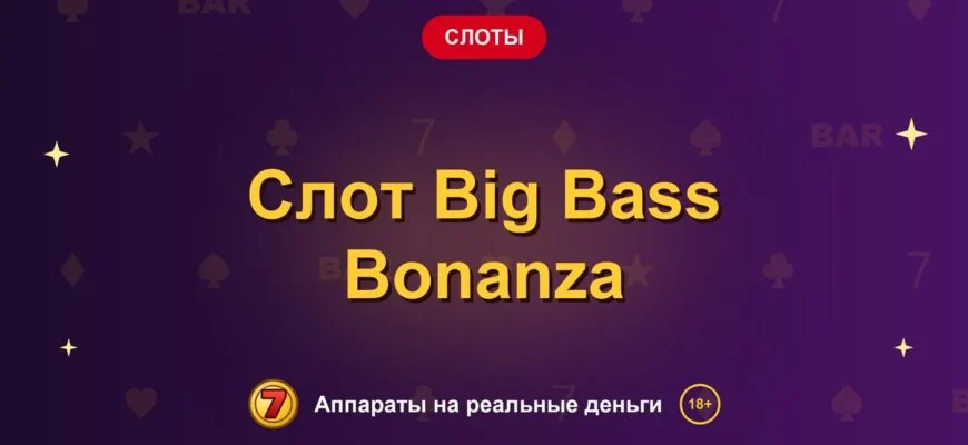 Обложка обзора «Слот Big Bass Bonanza», раздел «Другие слоты»