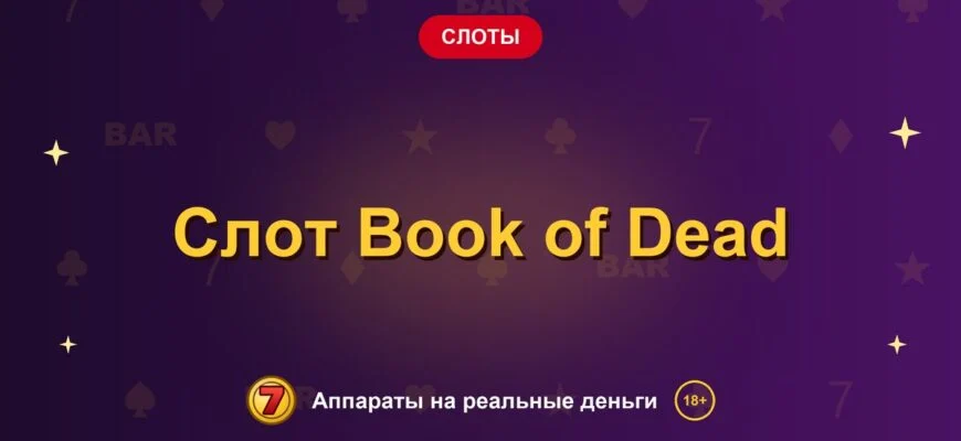 Обложка обзора «Слот Book of Dead», раздел «Другие слоты»