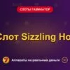 Обложка обзора «Слот Sizzling Hot», раздел «Слоты Гаминатор (Novomatic)»