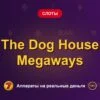 Обложка обзора «The Dog House Megaways», раздел «Другие слоты»