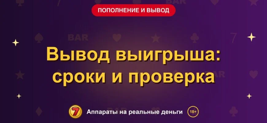 Обложка обзора «Вывод выигрыша: сроки и проверка», раздел «Пополнение и вывод денег»